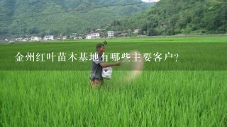 金州红叶苗木基地有哪些主要客户?