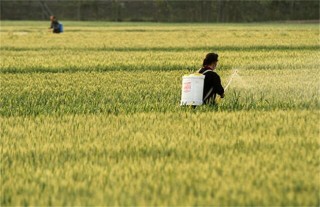 为啥农药使用后药效差,第2图