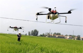 雨季如何使用农药,第4图