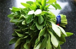 救心菜的种植方法,第5图