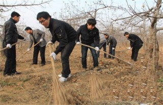 苹果树越冬防寒措施,第3图