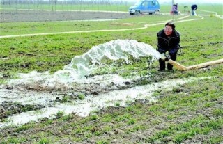 如何浇好小麦越冬水,第2图