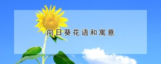 向日葵花语和寓意,第1图