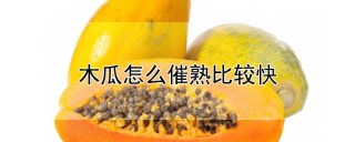 木瓜怎么催熟比较快,第1图