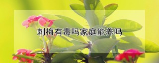 刺梅有毒吗家庭能养吗,第1图