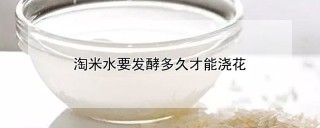 淘米水要发酵多久才能浇花,第1图