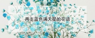 两支蓝色满天星的花语,第1图