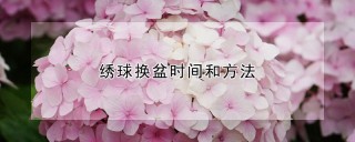 绣球换盆时间和方法,第1图