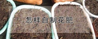 怎样自制花肥,第1图