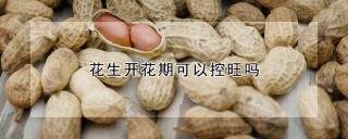 花生开花期可以控旺吗,第1图