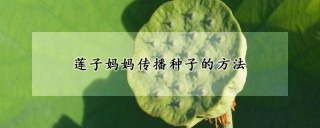 莲子妈妈传播种子的方法,第1图