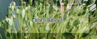 发绿豆芽的方法,第1图