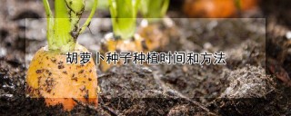 胡萝卜种子种植时间和方法,第1图