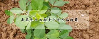 春花生生长期多少天可以收获,第1图