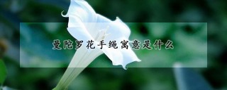 曼陀罗花手绳寓意是什么,第1图