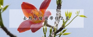 去烈士陵园带什么花,第1图