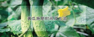 黄瓜施肥时间及方法,第1图