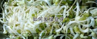 如何发绿豆芽,第1图