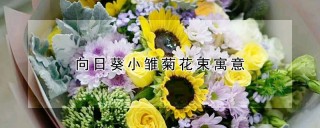 向日葵小雏菊花束寓意,第1图