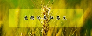 麦穗的象征意义,第1图