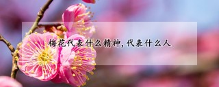 梅花代表什么精神,代表什么人,第1图