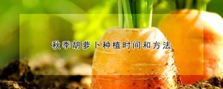 秋季胡萝卜种植时间和方法,第1图