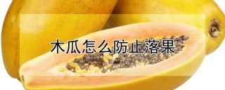 木瓜怎么防止落果,第1图