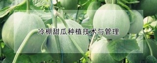 冷棚甜瓜种植技术与管理,第1图