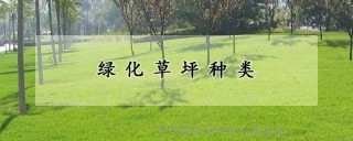 绿化草坪种类,第1图