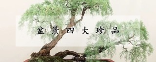 盆景四大珍品,第1图