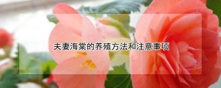 夫妻海棠的养殖方法和注意事项,第1图