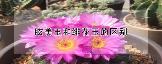 眩美玉和绯花玉的区别,第1图