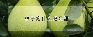 柚子施什么肥最甜,第1图