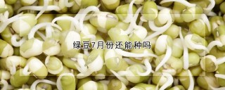 绿豆7月份还能种吗,第1图