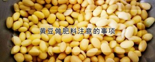 黄豆做肥料注意的事项,第1图