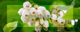 什么花会结出果实,第1图