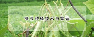 绿豆种植技术与管理,第1图