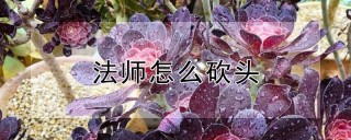 法师怎么砍头,第1图