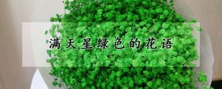 满天星绿色的花语,第1图