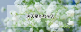 满天星能放多久,第1图