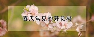 春天常见的开花树,第1图