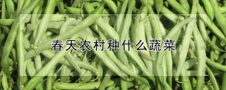 春天农村种什么蔬菜,第1图