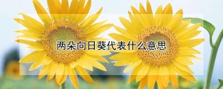 两朵向日葵代表什么意思,第1图