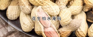 花生怕水淹吗,第1图