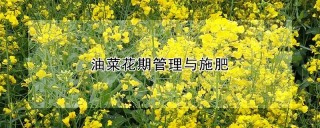 油菜花期管理与施肥,第1图