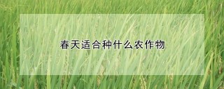 春天适合种什么农作物,第1图