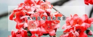 木棉花花语和寓意,第1图