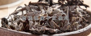 肉桂茶属于红茶吗,第1图