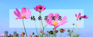 格桑花寓意,第1图