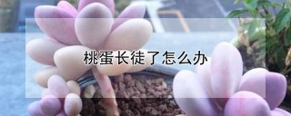 桃蛋长徒了怎么办,第1图